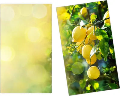 Produktbild von Spritzschutz Herdabdeckplatte Schneidebrett aus Glas Zitronen im Sonnenlicht 2-Teilig (60x52cm)