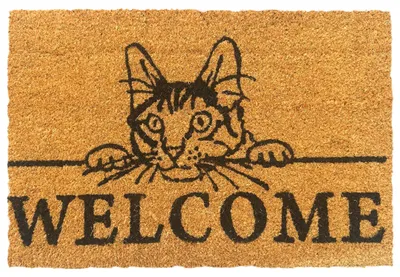 Produktbild von Relaxdays Fußmatte Kokos, Welcome, 60x40cm, rutschfest, wetterfest, Fußabstreifer innen & außen, Türvorleger, mehrfarbig