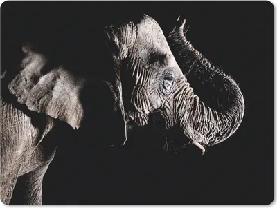 Produktbild von MuchoWow® Mauspad Mousepad Elefant - Schwarz - Tiere - Natur 23x19 cm - Mousepads - Maus Mat - Pad - Mausunterlage - Schreibtischunterlage - Mauspad