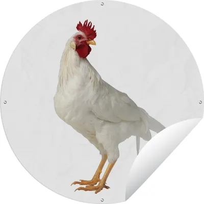 Produktbild von MuchoWow®