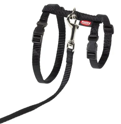 Immagine prodotto di Set di gatti Nobby XL nero