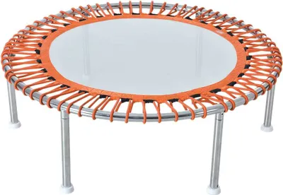 Produktbild von Waterflex Trampoline Premium Round  One Size