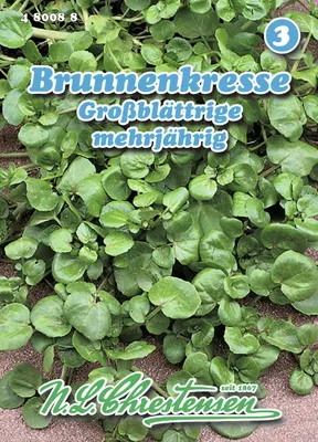 Produktbild von Brunnenkresse Großblättrige | Kressesamen von N.L. Chrestensen