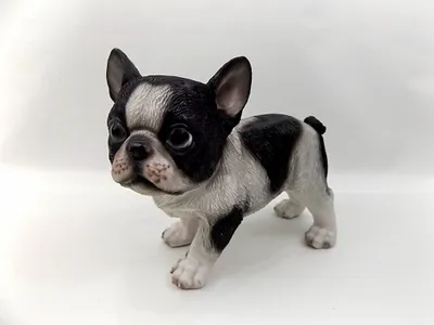 Produktbild von Bulldogge Bull Dogge Terrier Hund Deko Garten Tier Figur Skulptur Statue Mops