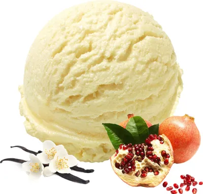 Image de Vanille Grenade Poudre pour crème glacée Poudre pour crème glacée 1 kg