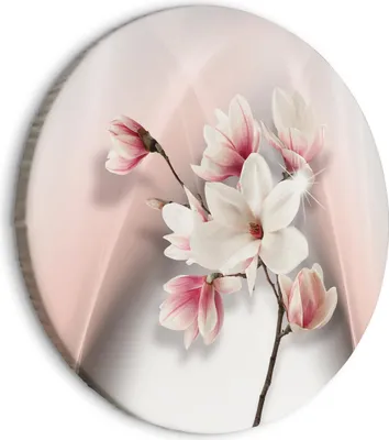 Image de Images rondes 80 x 80 cm Fleurs Magnolia Toile 1 pièce Impression artistique moderne Tableaux muraux XXL Décoration murale Design Image murale rose Plante Nature Fleur b-C-10193-bc-a