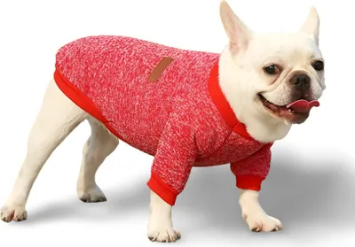 Immagine prodotto di Felpa per cane - Rosso XS