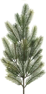 Obrázek produktu pro Jedlová větev 66cm Borovice