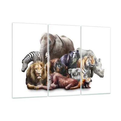 Produktbild von Bilder auf glas - Tiere Koala Löwe Affe - 165x110cm - Glasbilder - Wandbilder - Kunstdruck - zum Aufhängen bereit - Wanddekoration aus Glas - Glas Bilder - Wandbild auf Glas - GCE165x110-3166