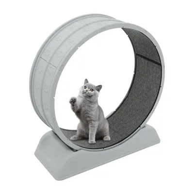 Produktbild von Laufrad für Katzen, Katze Laufrad, Katzenlaufrad, Katzen-Trainingsrad, Grau
