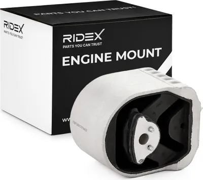 Produktbild von RIDEX Motorlager Vorne Rechts Vorne Links passend für MERCEDES-BENZ A-Klasse (W169) 247E0293