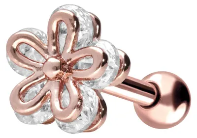Produktbild von Ohrpiercing Chirurgenstahl Ohrpiercing BLUME + KRISTALL