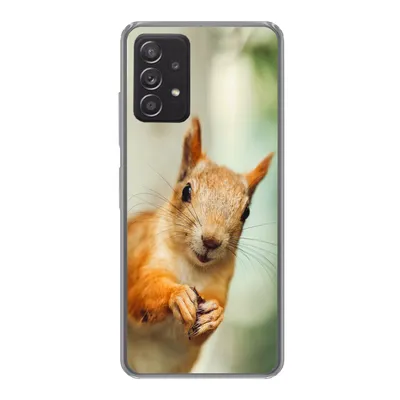 Produktbild von MuchoWow® Handyhülle Schutzhülle Hülle für Samsung Galaxy A53 5G Eichhörnchen - Lustig - Nuss - Kinder - Jungen - Mädchen - Kind Silikon Softcase Handy Hülle - Schutzabdeckung