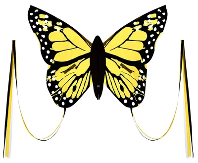 Obrázok produktu pre Bella Butterfly Detský drak Žltý