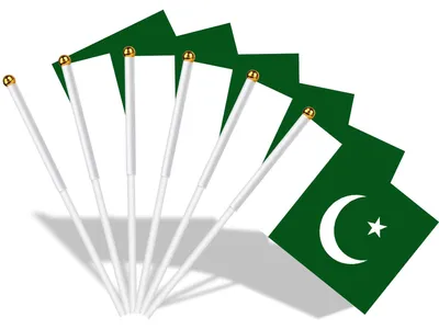 Produktbild von Miniatur-Flaggen von Pakistan, 30 Stück, mit 30 cm langen weißen Stangen zur Dekoration