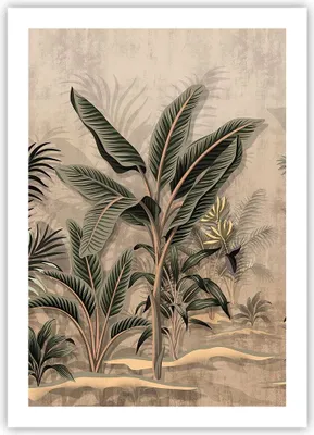 Produktbild von Poster - Poster ohne Rahmen - Wald Blatt Baum - 50x70 cm - Wand Bild - Wanddeko - Wandbilder - Kunstposter - Wandposter - Bilder - Kunstdruck - Wanddekoration - Wandbild - P2XPA50x70-5101