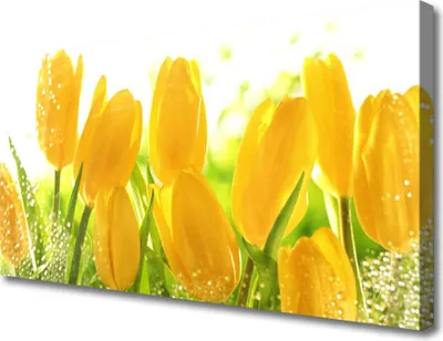 Produktbild von Tulup Leinwand-Bilder 100x50 Wandbild Canvas Kunstdruck Tulpen Pflanzen