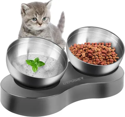 Produktbild von Erhöhter Hunde- und Katzennapf 15° geneigter erhöhter Katzenfutternapf mit 2 Edelstahl-Hundenäpfen mit rutschfester Auflage für Katzen-,Hunde- und Haustierfutternäpfe