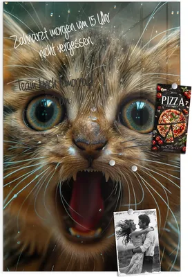 Produktbild von Magnettafel 60x90cm Pinnwand Whiteboard beschreibbar - Nasse Katze
