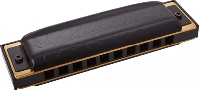 Image de Harmonica diatonique Hohner Pro Harp MS C