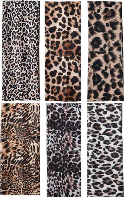 Imagen del producto de Bandas para el pelo elásticas, 6 unidades, estampado de leopardo, anchas, para yoga y deporte