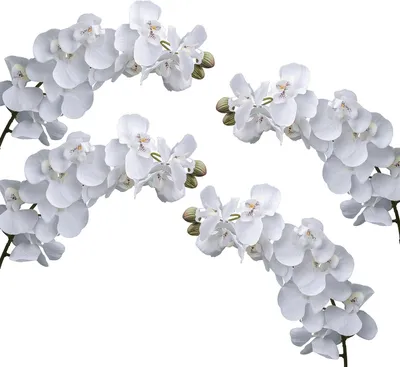 Productafbeelding van Kunstbloemen Orchidee - Zijde Bloemen - Huis Decoratie - Echte Touch Gel - 71 cm Hoog - Romig Wit