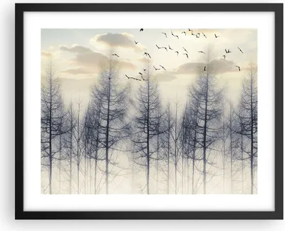 Produktbild von Gerahmtes Poster - Schwarzer Rahmen - Bäume Vögel Himmel - 50x40 cm - Wand Bild - Wanddeko - Wandbilder - Kunstposter - Wandposter - Bilderrahmen - Bilder - Kunstdruck - P2BAA50x40-4546