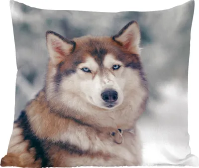 Produktbild von MuchoWow® Zierkissen Sofakissen Wohnzimmer Dekokissen 45x45 cm Porträt eines Huskys - Schlafpolster - Polster für das Sofa