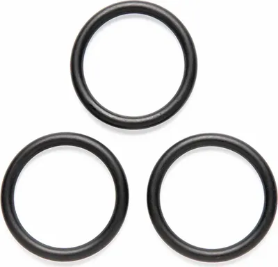 Produktbild von GLORIA O-Ring 706400.0000 3 Stück für Drucksprüher prima 3, prima 5, prima 8, primex 5 und mehr