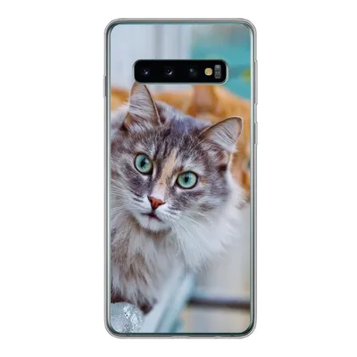 Produktbild von MuchoWow® Handyhülle Schutzhülle Hülle für Samsung Galaxy S10 Katze - Fenster - Katzen Silikon Softcase Handy Hülle - Handytasche