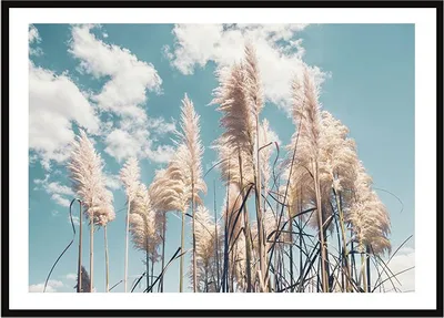Produktbild von BILDPOSTER IM RAHMEN 33x43 cm Boho P2250