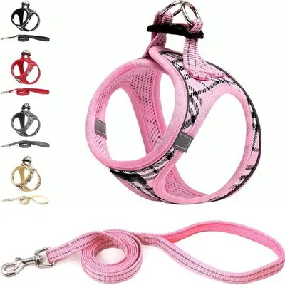 Produktbild von Famanu Hundegeschirr für kleine Hunde mit Leine - atmungsaktives, reflektierendes Design - (M - Rosa kariert)