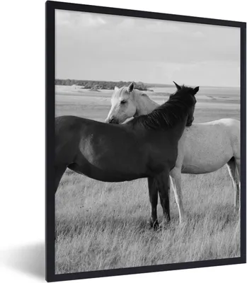 Produktbild von MuchoWow® Gerahmtes Poster Pferde - Tiere - Porträt - Schwarz-Weiß - Landleben 60x80 cm - Poster mit Schwarzem Bilderrahmen Wandposter Rahmen Foto Bilder - Premium - Wanddeko Wohnzimmer
