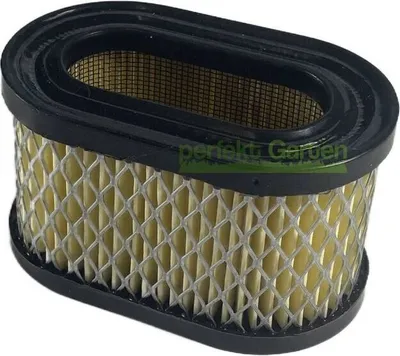 Image de Filtre à air pour moteur Briggs & Stratton B&S 5-6CV 12V800 12W800 123J00 MTD 497725