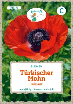 Produktbild von Grüne Fee - Türkischer Mohn Brillant Samen - 13465