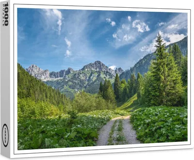 Produktbild von raxxa Premium-Puzzle "Nesselwängle", 1000 Teile