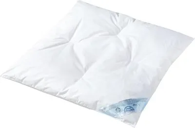 Produktbild von Julius Zöllner GmbH &Co.KG Bettdecke Feder-Daune Daunenbett 40/60 (BxLxH)  B=31 x L=38 x H=5 cm