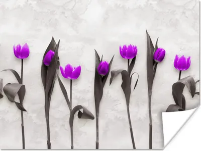 Produktbild von MuchoWow® Poster Blumen - Tulpen - Lila 120x90 cm - Wandbild