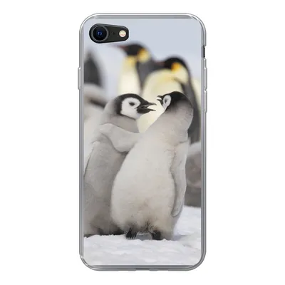 Produktbild von MuchoWow® Handyhülle Schutzhülle Hülle für iPhone SE 2020 Pinguine - Schnee - Tiere Silikon Softcase Handy Hülle - Kartenbesitzer