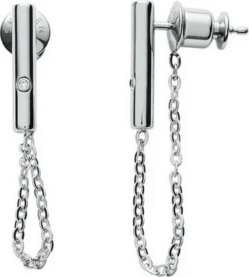 Productafbeelding van SKAGEN DENMARK JEWELS Oorbellen SKJ1233040