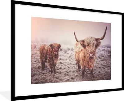 Produktbild von MuchoWow® MuchoWow® Gerahmtes Poster Schottische Hochlandrind - Schnee - Sonne 90x60 cm - Poster mit zchwarzem Bilderrahmen - Wanddekoration - Fotos
