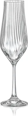 Produktbild von Sektgläser Sektglas Kristallglas Tulipa Optic klar Sektglas 170 ml 6er Set Bohemia Crystalex