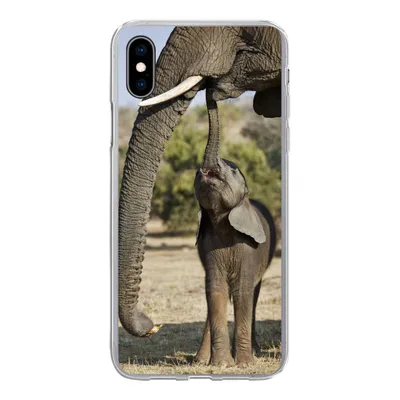 Produktbild von MuchoWow® Handyhülle Schutzhülle Hülle für iPhone Xs Elefant - Tiere - Gras - Natur Silikon Softcase Handy Hülle - Handytasche