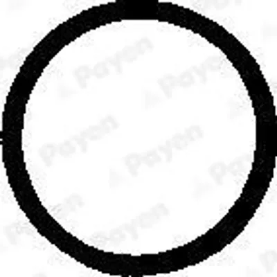 Produktbild von PAYEN Dichtung Zylinderkopfhaubenschrauben PB248 für FIAT COUPE (FA/175)