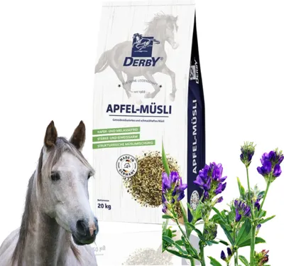 Produktbild von derby Apfel-Mash - 15 Kilogramm