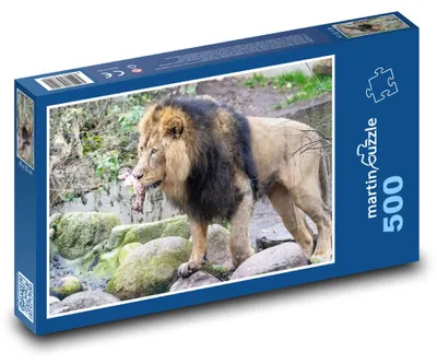 Obrázok produktu pre Puzzle 500 Lev v divočine - martinpuzzle