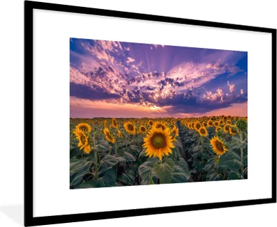Produktbild von MuchoWow® Gerahmtes Poster Blumen - Himmel - Lila - Sonnenuntergang 90x60 cm - Poster mit Schwarzem Bilderrahmen Wandposter Rahmen Foto Bilder - Wanddekoration - Fotos