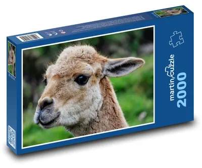 Obrázek produktu pro martinpuzzle - Puzzle 2000 - Lama