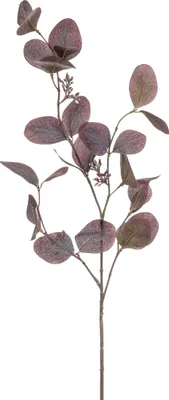 Produktbild von künstliche Eucalyptus Zweig Kunstblätter H. 73cm lila Emerald Blätterzweig