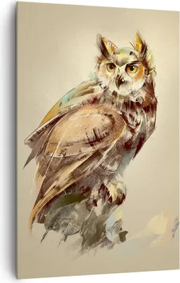 Produktbild von Bild auf Leinwand - Leinwandbild - Einteilig - Eule Vogel Natur - 80x120cm - Wand Bild - Wanddeko - Wandbilder - Leinwanddruck - Wanddekoration - Leinwand bilder - Wandbild - PA80x120-3856